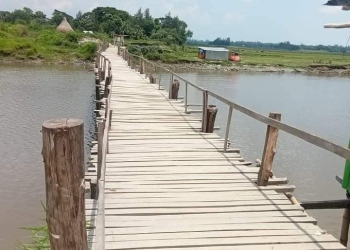 ভাত দেবার মুরোদ নেই, কিল মারার গোঁসাই