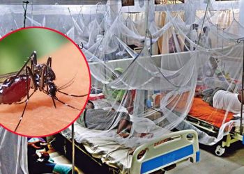 সরকারের অব্যবস্থাপনার জন্যই নিয়ন্ত্রণের বাইরে ডেঙ্গু
