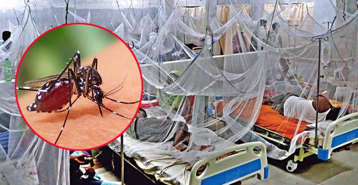 সরকারের অব্যবস্থাপনার জন্যই নিয়ন্ত্রণের বাইরে ডেঙ্গু